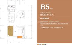 空港小院花语1室1厅1卫50.17平户型