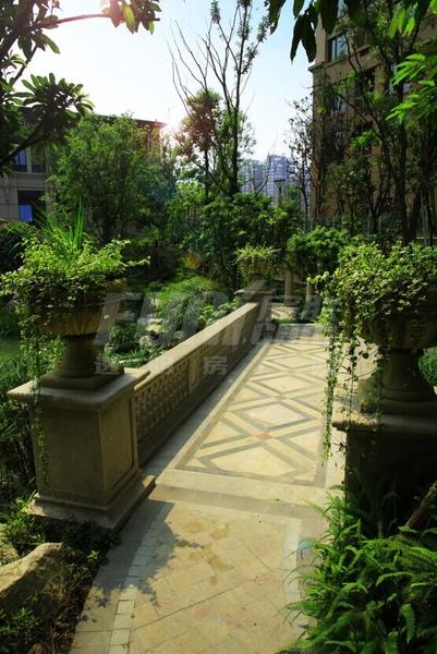 小区园林实景