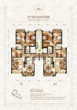 B2(带底商)