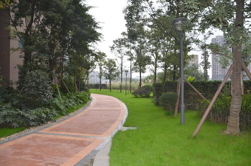 北城映像实景图