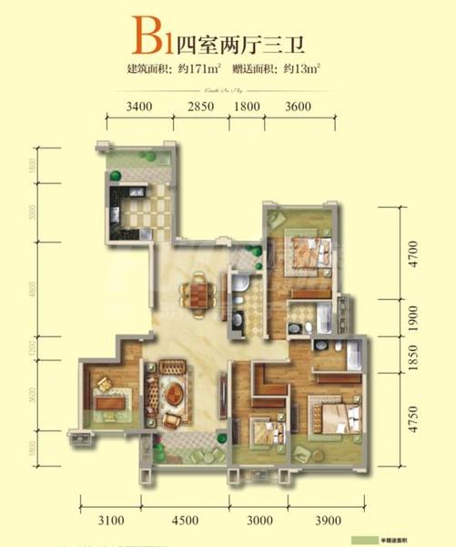 B1.jpg
