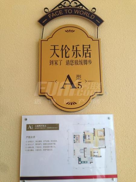 A5
