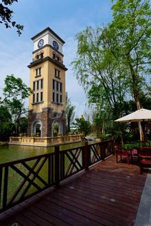钱江凤凰城(青白江)实景图