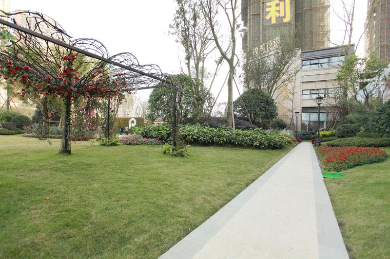 实景图