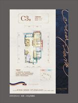 C3