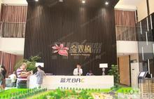 蓝光金双楠实景图