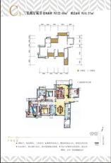 C1