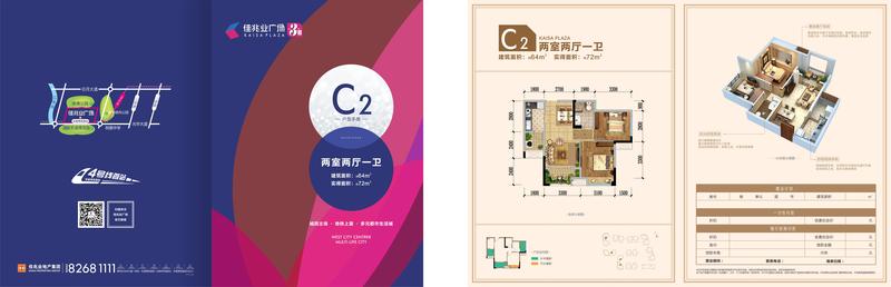 C2