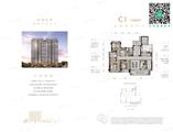 146m²