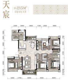 观澜府2期5室2厅3卫215.00平户型