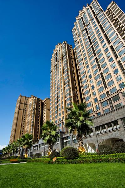 实景图