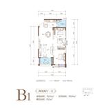 B1 1
