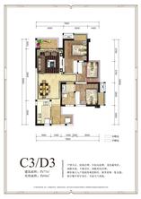 C3\D3