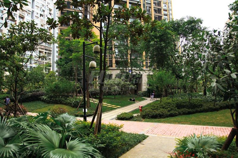 雍华府1期绿化实景