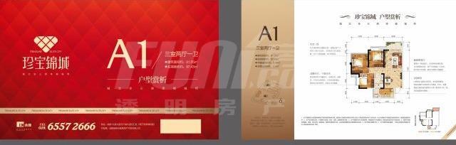 A1