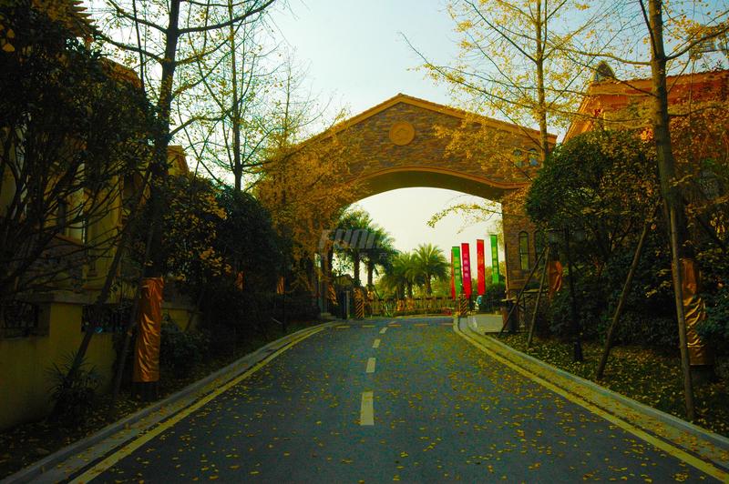 项目实景图