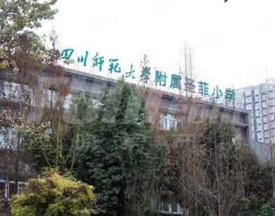 学校