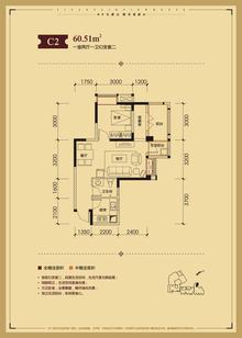 天朗锦邸1室2厅1卫60.51平户型