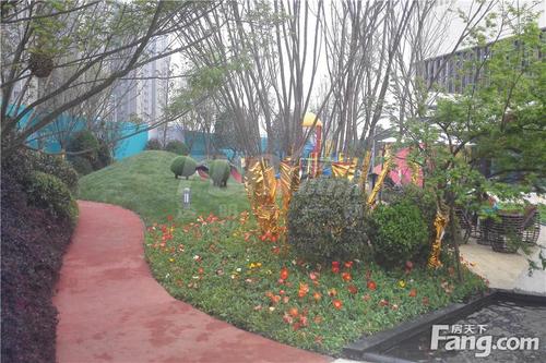 蓝光金悦派实景图