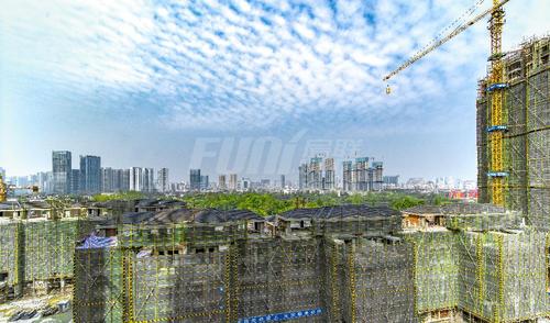 东湖长岛小区1期实景图