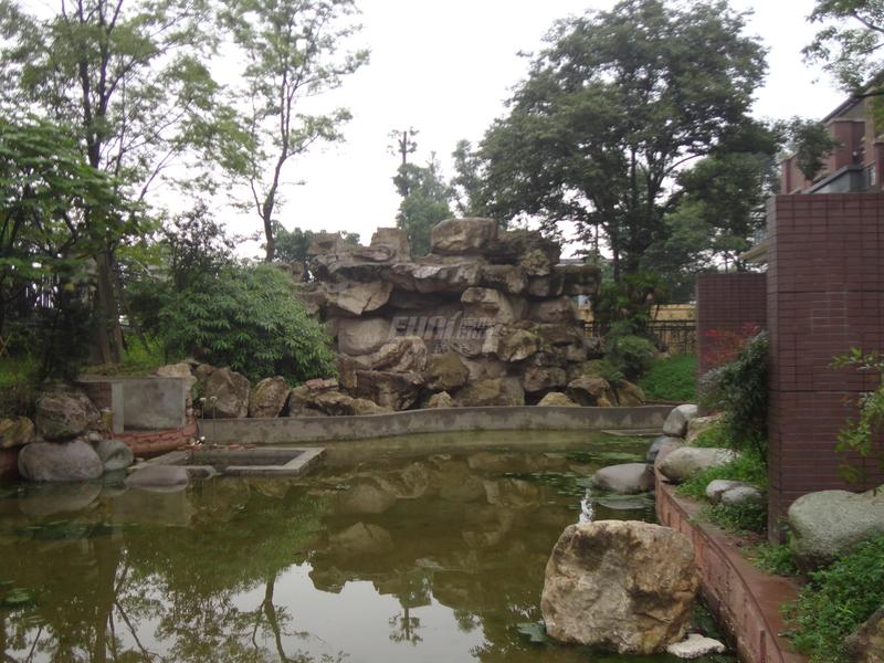 实景图