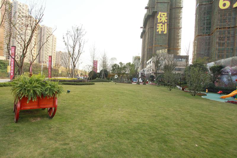 实景图