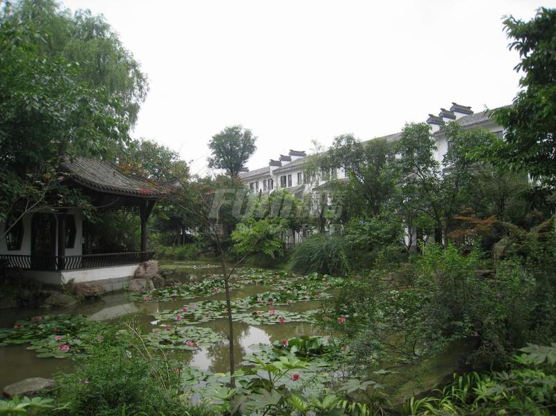 实景图