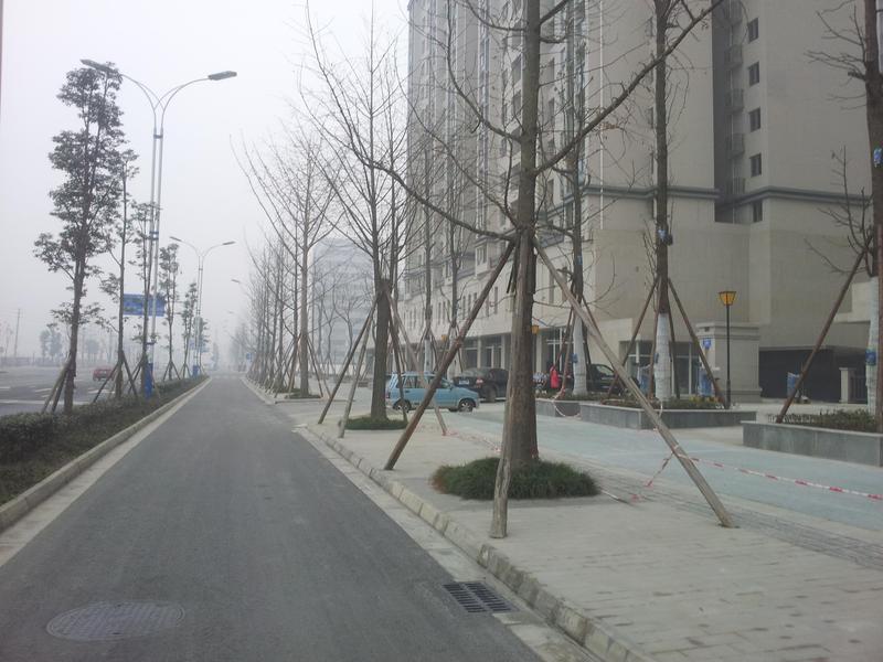 实景图