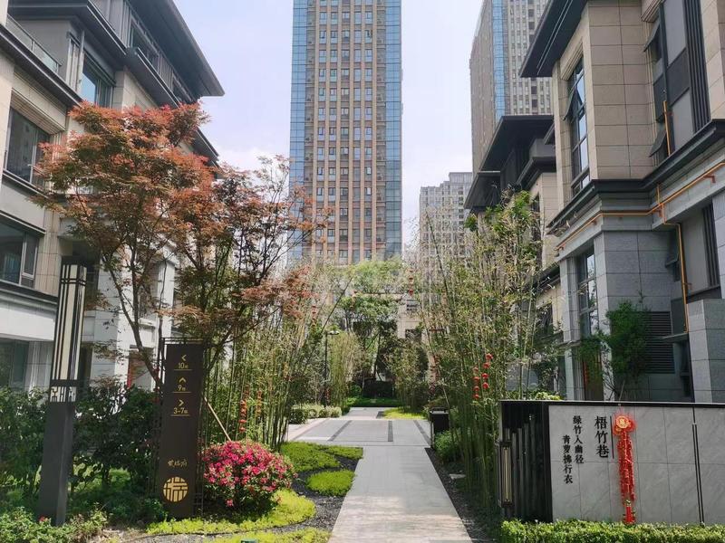 实景照片