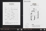 C2