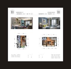 蓝光金悦派2室2厅1卫55.15平户型