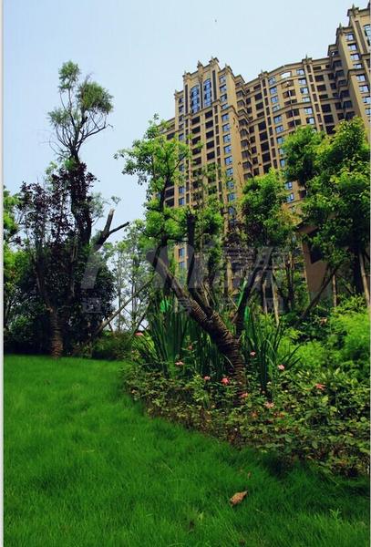 小区园林实景