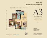 A3