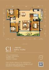 C1