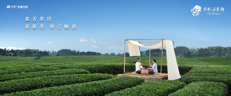 茶田