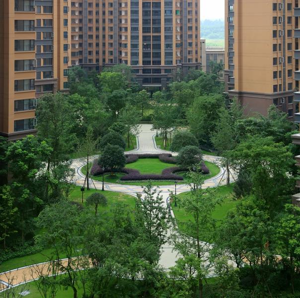 项目实景图