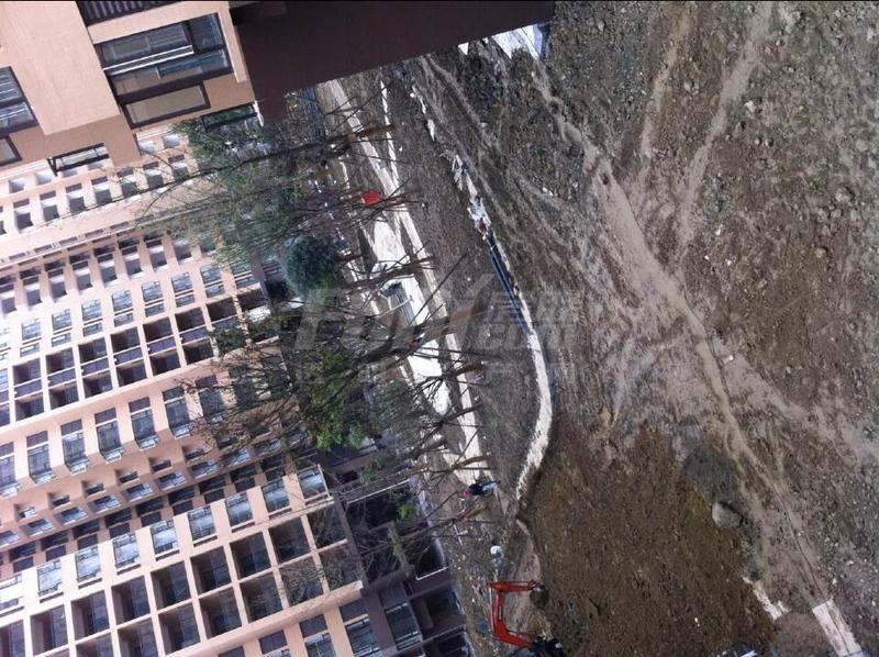 实景图