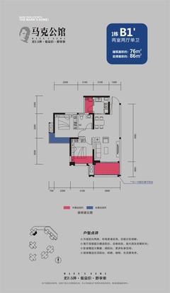 马克公馆2室2厅1卫76.00平户型
