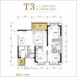 T3