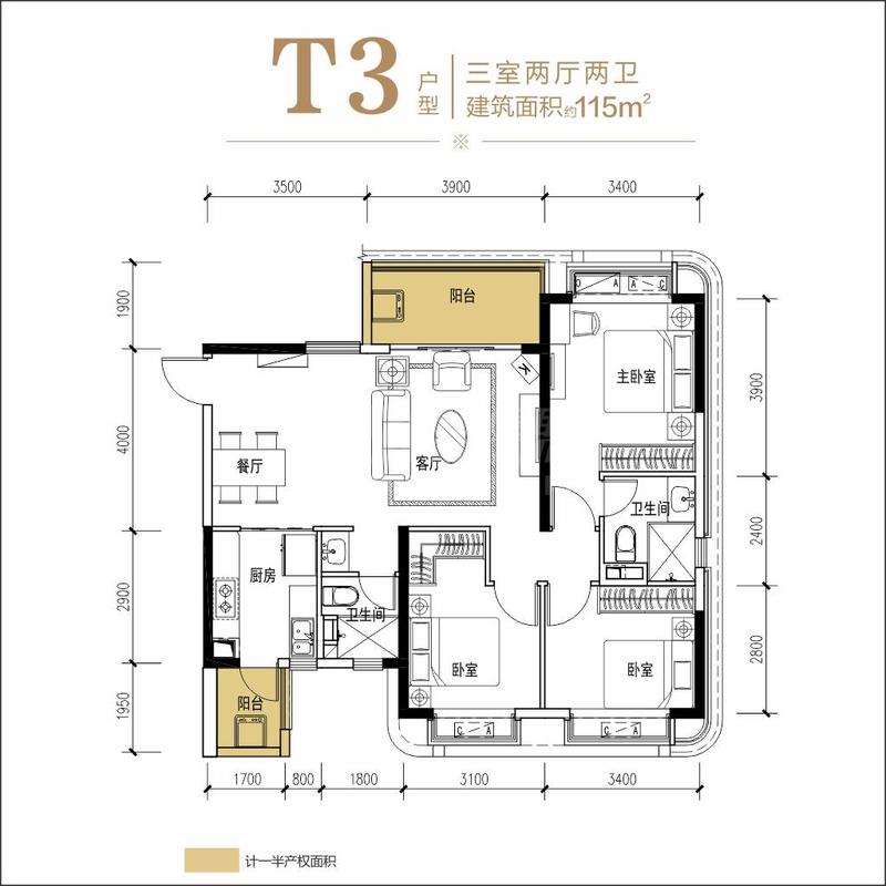 T3