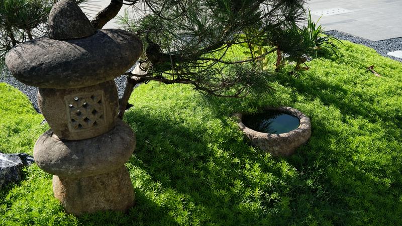 实景图