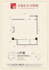 九峰时代广场(白桦林商业中心)  99.83平米