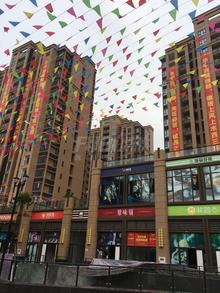 华宇西城雅郡实景图