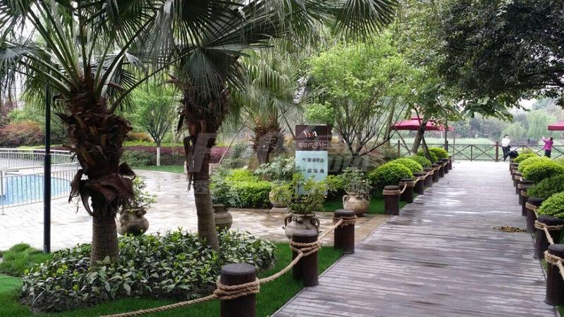 堤亚纳河谷