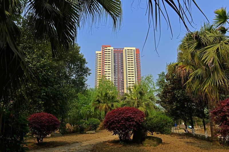 怡湖玫瑰苑实景