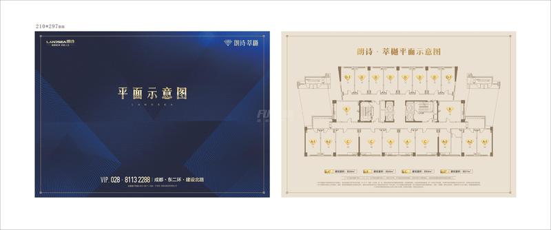 平面示意图