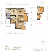 棠湖清江花语1期 3室2厅1卫 91.28平米