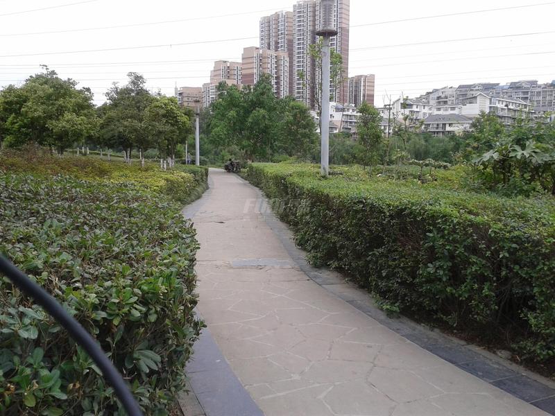 沙河公园