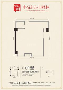 九峰时代广场(白桦林商业中心)85.93平户型