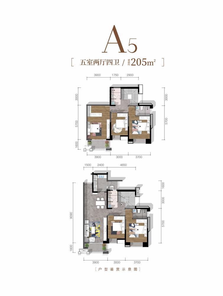 A5.